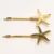 Estrelas-do-Mar Escura e Marfim (2 peças)