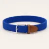 Cinto elástico entrançado azul-royal com fivela prateada